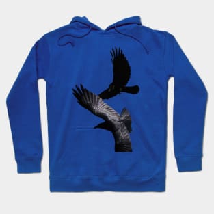 Save endangered birds Hoodie